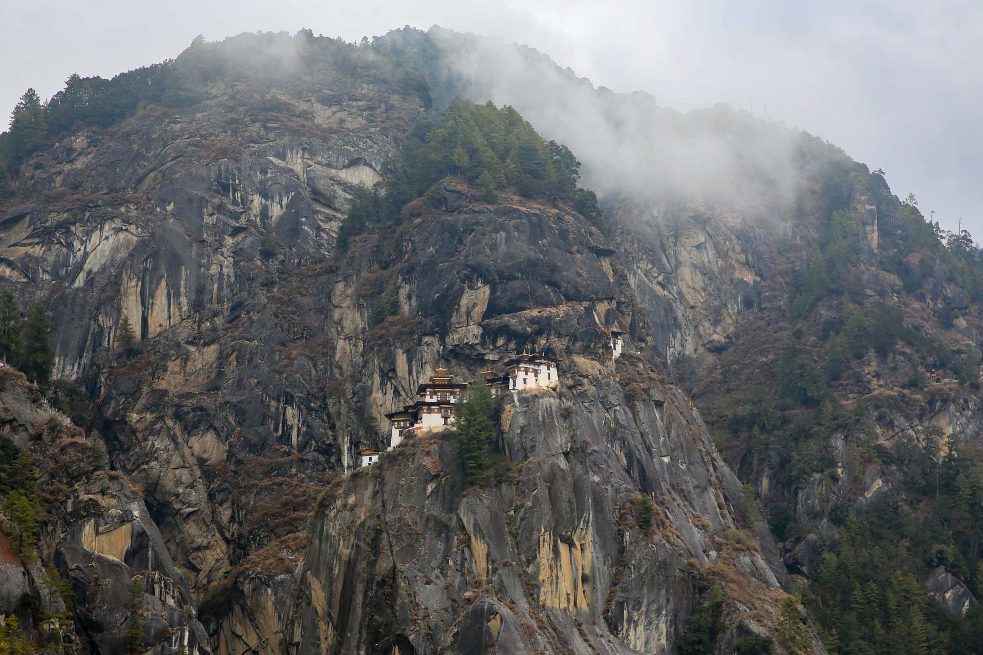 霧がかかる聖地タクツァン僧院 幸せの国ブータン観光を一人旅でもツアーでも